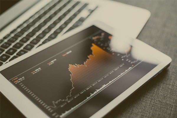 Risk assessment in the investment business